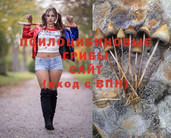 марки lsd Алексеевка