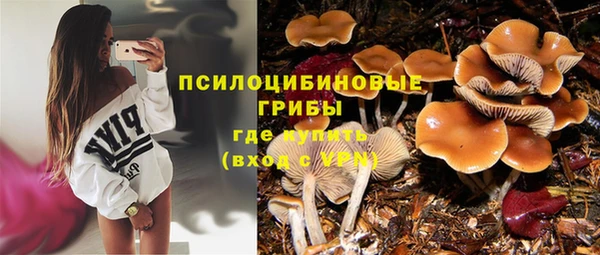 ALPHA PVP Арсеньев