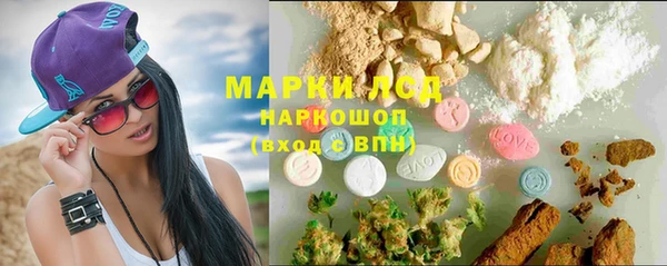 стаф Армянск