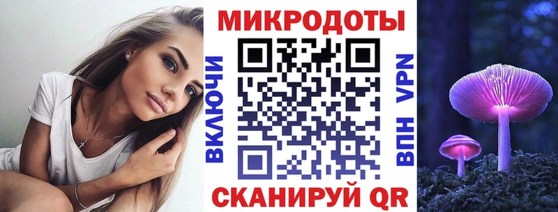 Псилоцибиновые грибы Psilocybine cubensis где можно купить сайты даркнета как зайти Калачинск